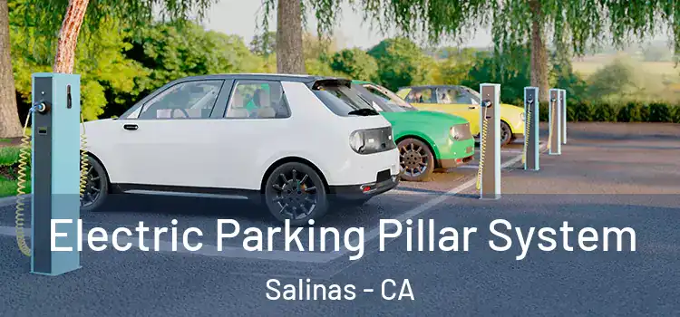  Electric Parking Pillar System Salinas - CA