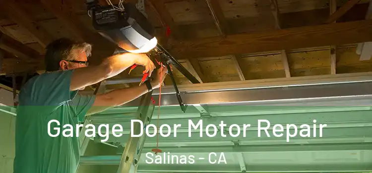  Garage Door Motor Repair Salinas - CA