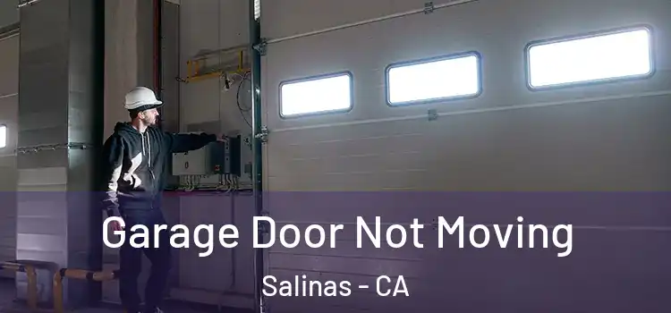  Garage Door Not Moving Salinas - CA