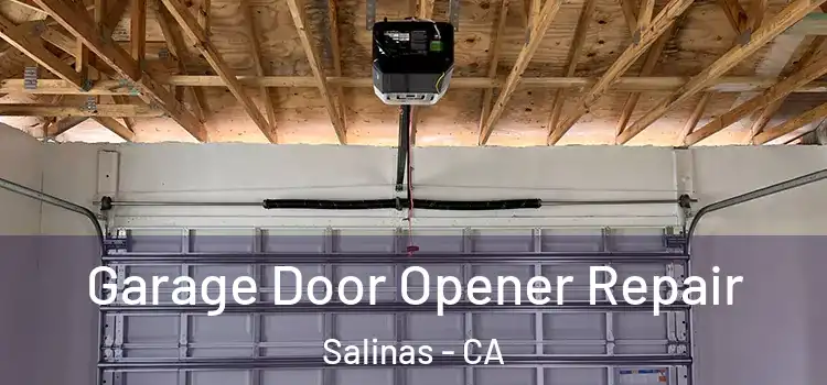  Garage Door Opener Repair Salinas - CA