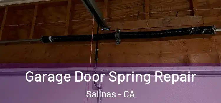  Garage Door Spring Repair Salinas - CA