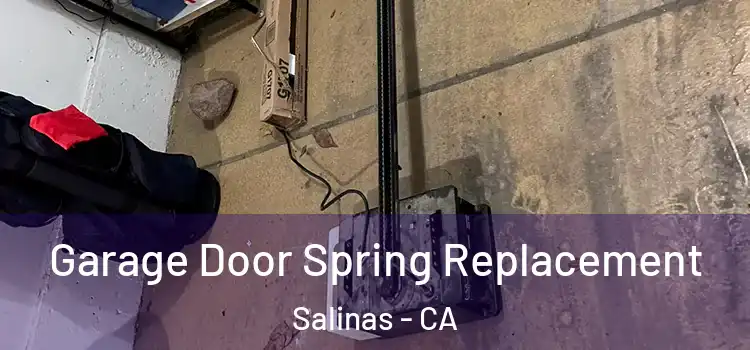  Garage Door Spring Replacement Salinas - CA