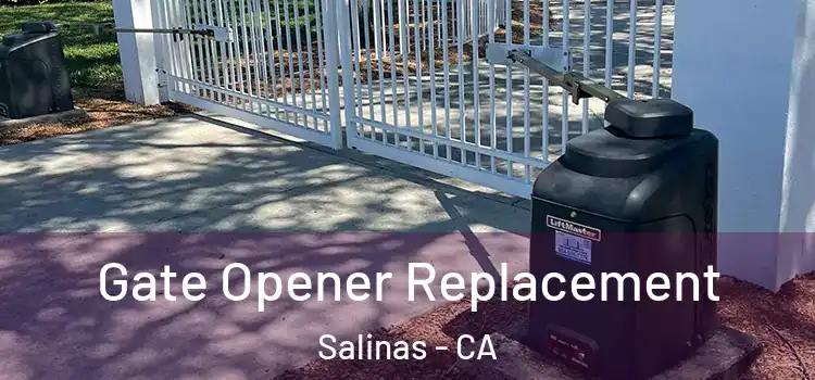  Gate Opener Replacement Salinas - CA