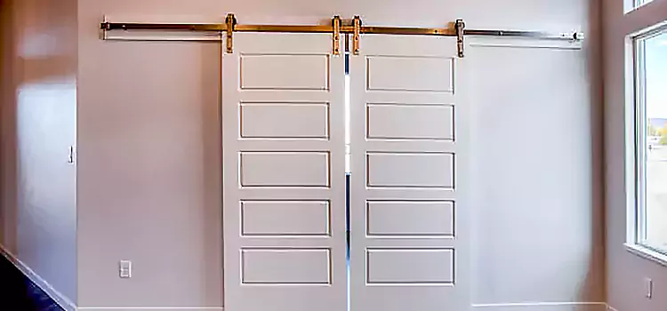 Glass Barn Door with Installation Hardware Kit Salinas