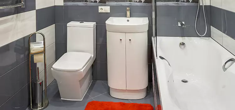 Hansgrohe Shaving Mirror Salinas