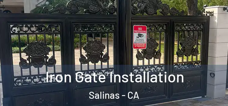 Iron Gate Installation Salinas - CA