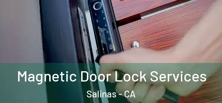 Magnetic Door Lock Services Salinas - CA