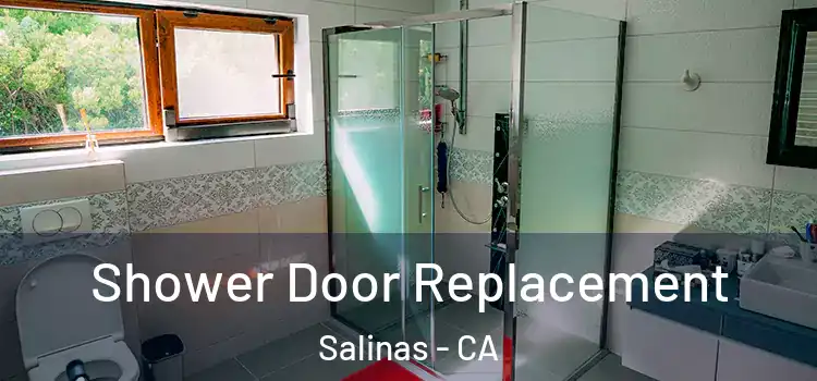  Shower Door Replacement Salinas - CA